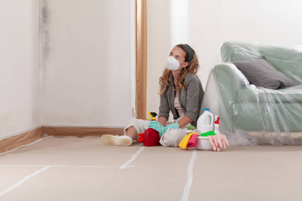 Reliable Mold Inspection contractor in Currituck, NC by WQB Mold Removal